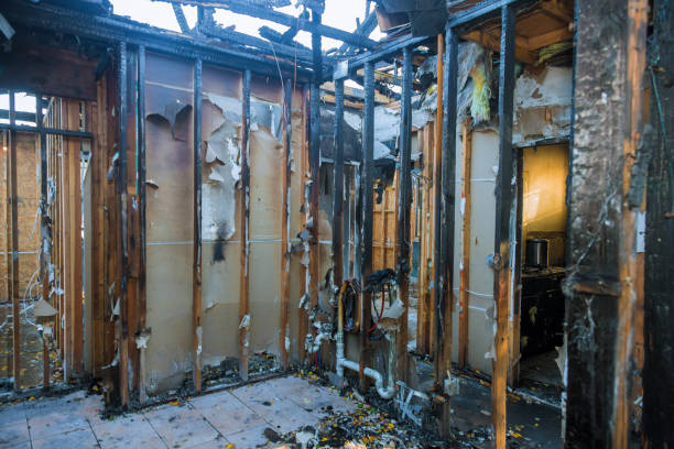Professional Odor Removal technician working in Lewisville, WA