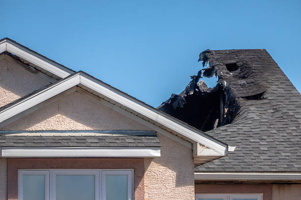 Top rated local Odor Removal specialists in Lewisville, WA